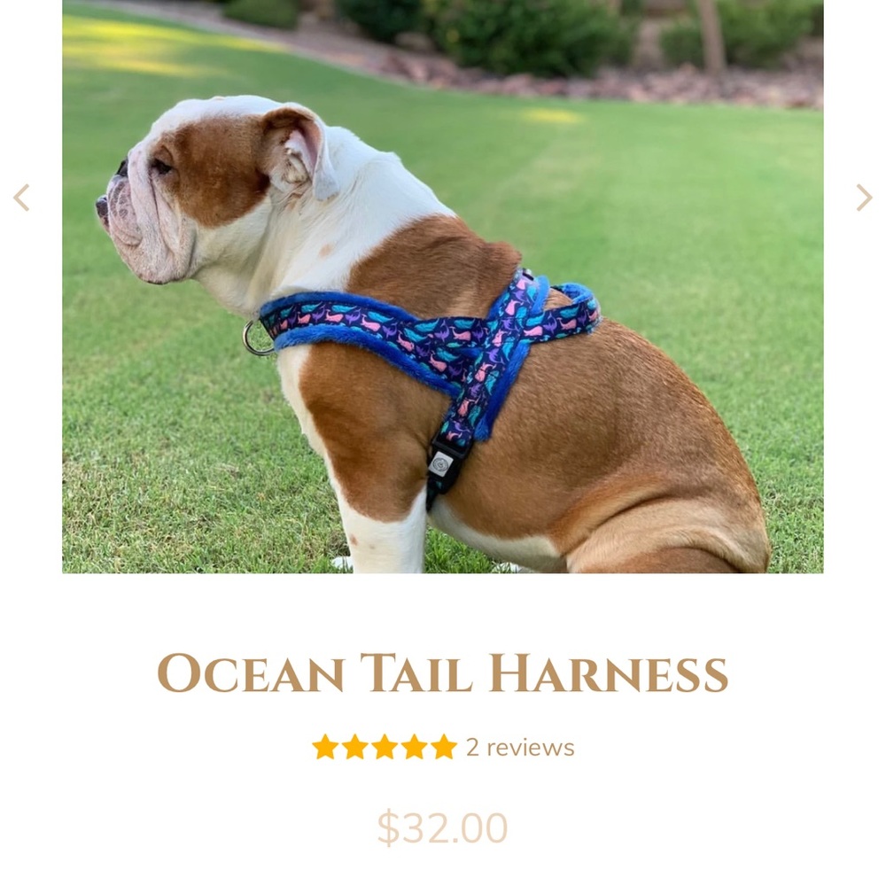 Ocean Tail Harness 🐾